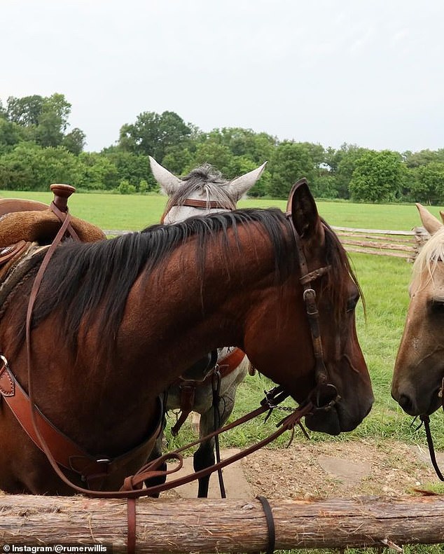 The actress also included pictures of horses in her collection of images