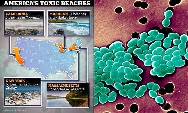 Map reveals the more than 100 beaches across the US forced to close due to high levels of