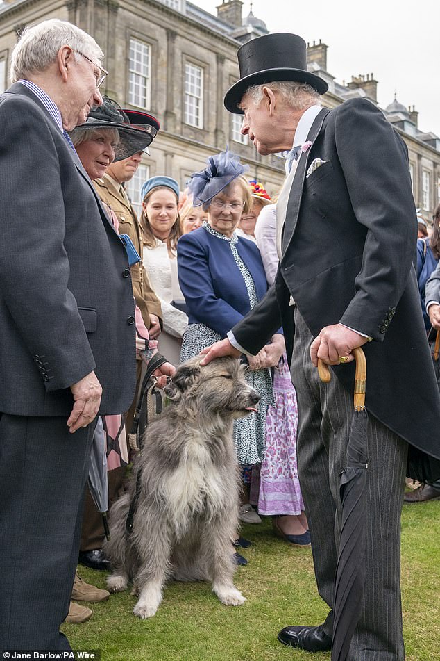 The Transylvanian rescue dog - Kratu - appeared very calm and relaxed in His Majesty's presence