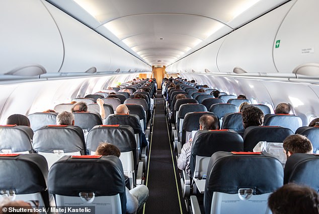 'Why do so many guys on airplanes think they can spread out and consume other people's space?' she wrote angrily on Facebook alongside an image (stock image)