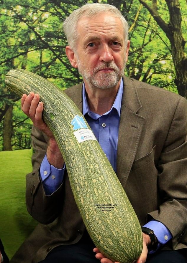 Will Jeremy Corbyn be elected as an Independent MP? (Pictured: The former Labour leader throttling a marrow)