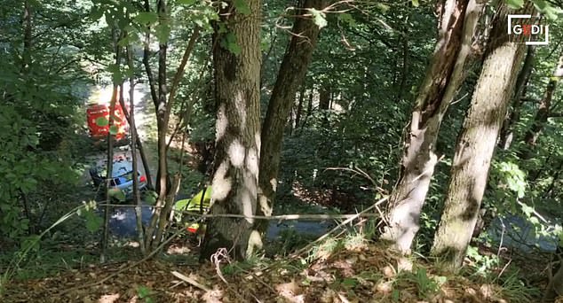 Emergency vehicles are seen in the forest where the Italian tourist fell to her death