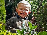 Mother and father are charged with gross negligence manslaughter after their son, three, was mauled to death by a dog on a farm