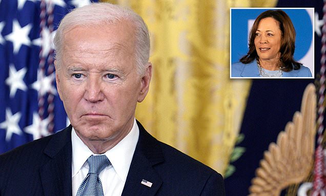 Joe Biden, 81, describes himself as a black woman during radio interview