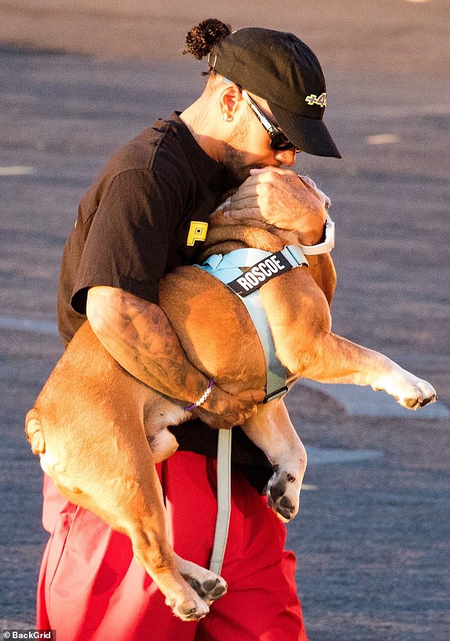 Lewis Hamilton was spotted giving his dog Roscoe a kiss on the head as she arrived back in London with his pooch following his British Grand Prix win on Sunday