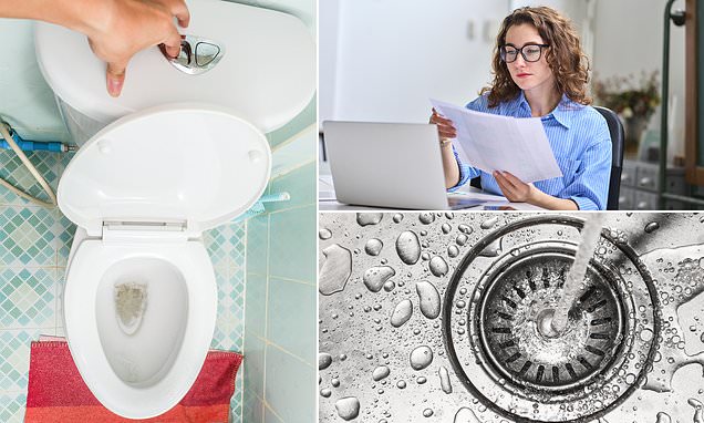 Getting a new toilet could save you £109 a year on water bills - with waste costing some