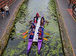 Birmingham's canals turn into a bright green swamp as duckweed infestation transforms city's waterways into sludge