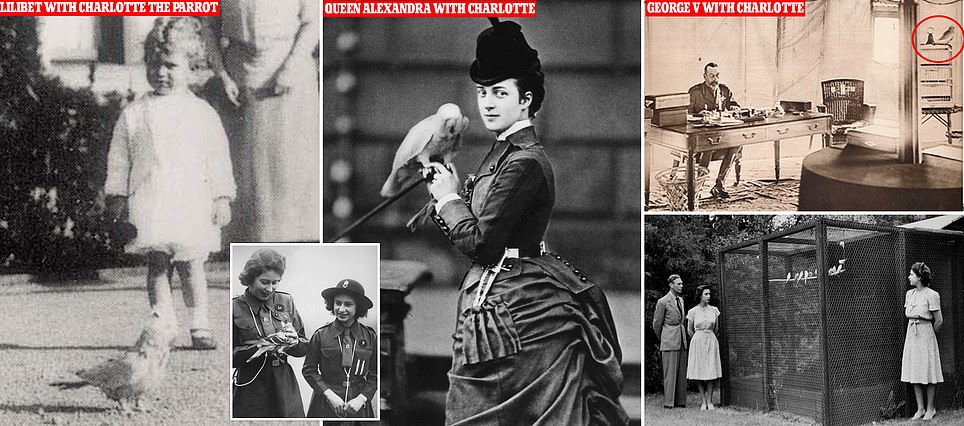 How the Queen's love of birds began with a sweary parrot called Charlotte: She played with