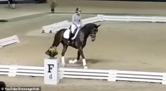 Footage resurfaced of Dujardin showing how to 'correctly' whip a horse (pictured is a grab from the video)