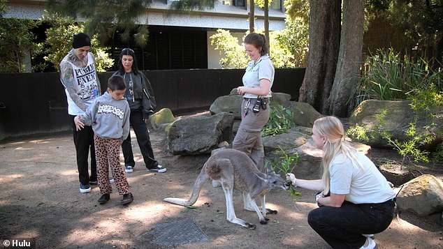 They walk up to a kangaroo and Reign asks if he can pet her and the employee says yes, as he does so and Travis starts filming