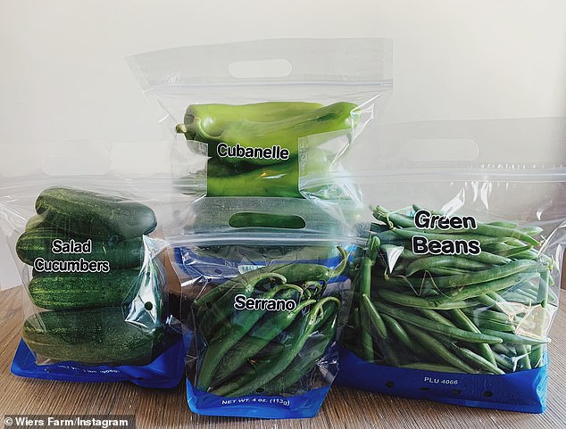 A recall previously pertaining to only cucumbers has expanded to include more produce across the country, like these bagged greens seen here - all from Ohio-based Wiers Farms