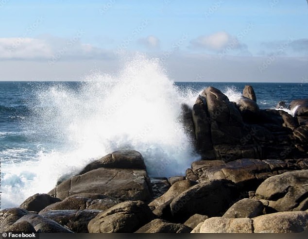 The couple, from San Jose, were standing on rocks near Mitchell's Cove below West Cliff Drive having their photo taken when the wave swallowed them