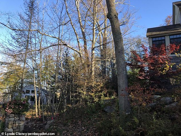 The Gorman home (left) sits down the slope from the Bond house (right)