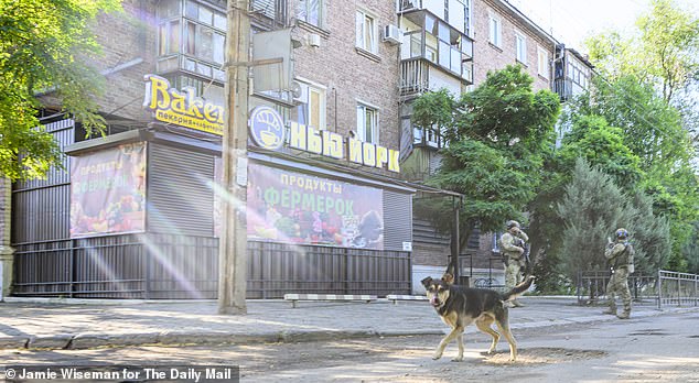 A quiet street in New York, Ukraine. The last time our guide Lt Oleh led a patrol to New York, earlier this year, his Mitsubishi pick-up truck was hit by two Russian kamikaze drones