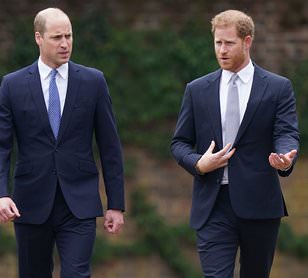 Will family heartbreak bring William and Harry closer together? Rift between warring