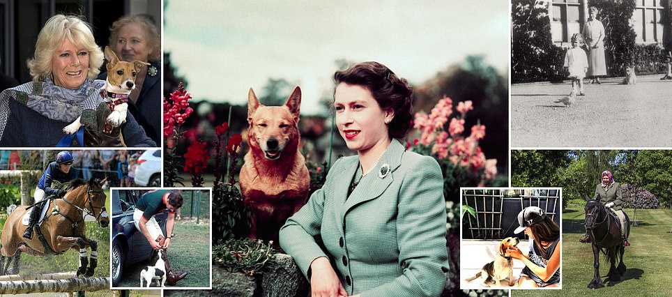 Royal pets: From King Charles' Jack Russell to George V's sweary parrot and the Queen's