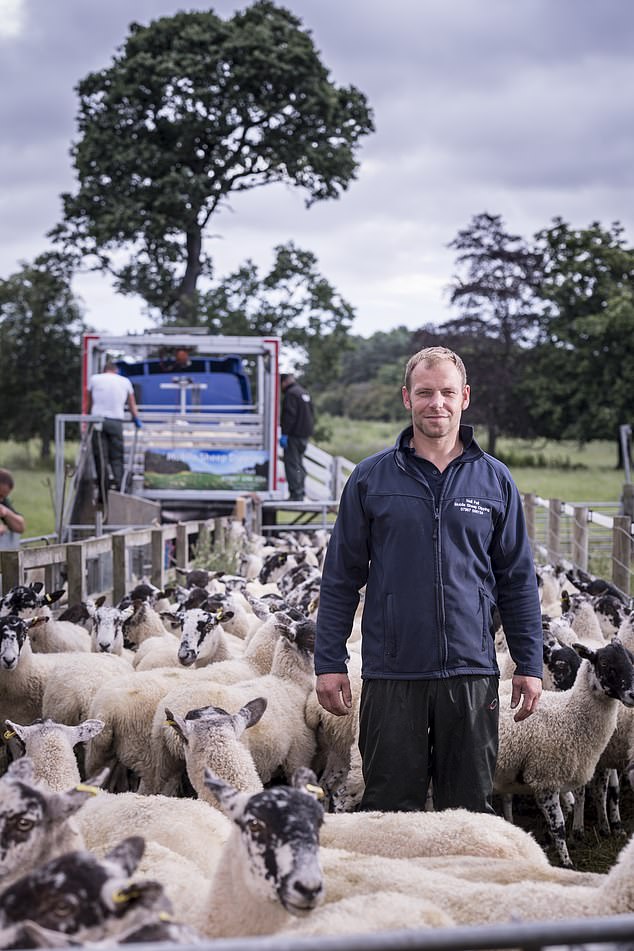 Neil Fell has a flock off 800 sheep, but when checking on them one day discovered 300 had been stolen