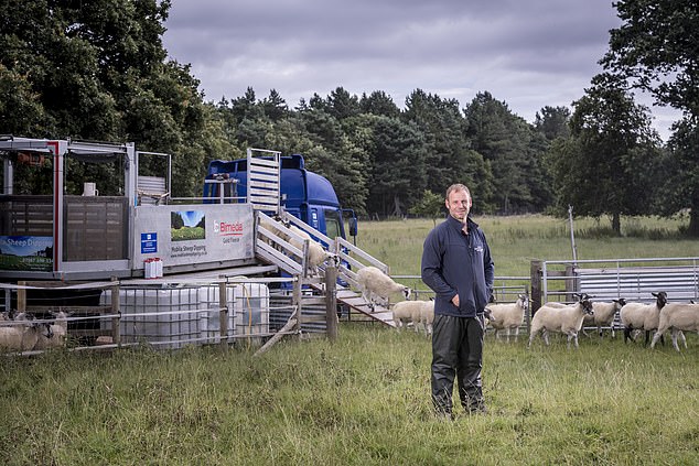 Fell's neighbour saw figures moving the sheep, but as it was daylight did not suspect anything untoward and raise the alarm