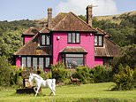 We're furious after our neighbour painted his £450k home bright PINK... here's why we want him to re-decorate immediately