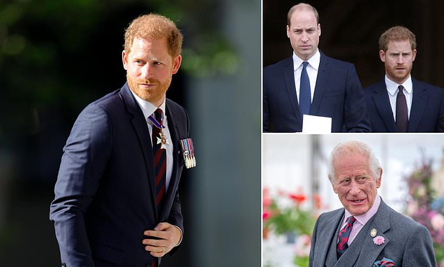 Prince Harry 'won't return to royal duties unless William apologises' but would be willing