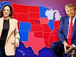 2024 presidential election model predicts who's on course to win the electoral college