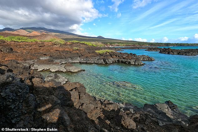 The group was snorkeling in the unguarded waters off the Ahihi-Kinua nature reserve on the west of Maui (pictured: Ahihi-Kinua Nature Reserve)