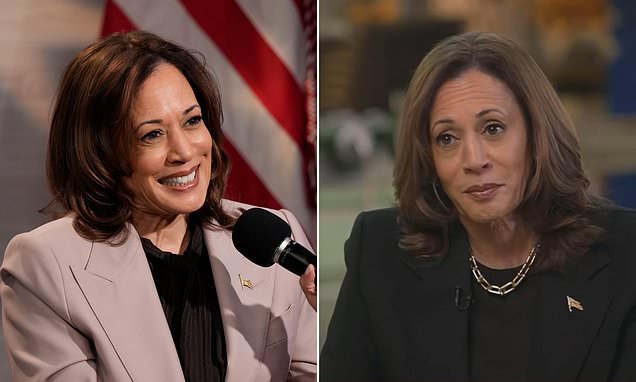 Kamala Harris' latest word salad on MSNBC leaves people wondering if she discovered a new