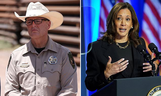 REVEALED: Arizona sheriff's stern message for Kamala Harris as ICE data reveals 600,000