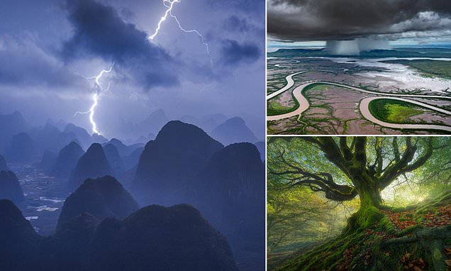 Breathtaking winning images from the 2024 panoramic photo awards revealed, from startling