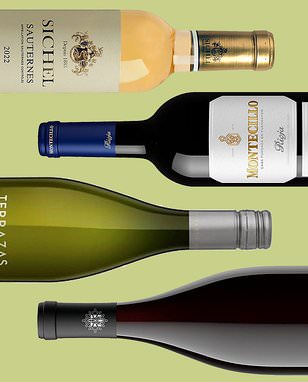 CHARLOTTE KRISTENSEN's classic Christmas wines, from just £10