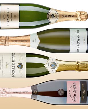 Need some last-minute bubbles to ring in 2025? CHARLOTTE KRISTENSEN shares four fizz fixes