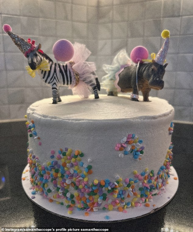 Her cake featured a zebra and a hippo, as well as colorful sprinkles