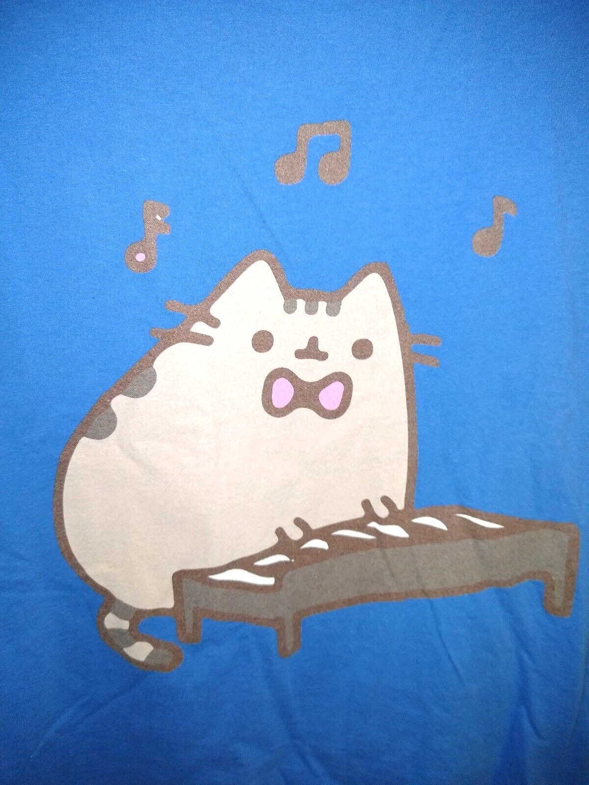 Pusheen The Cat Playing Keyboard Piano RARE Blue … - image 2