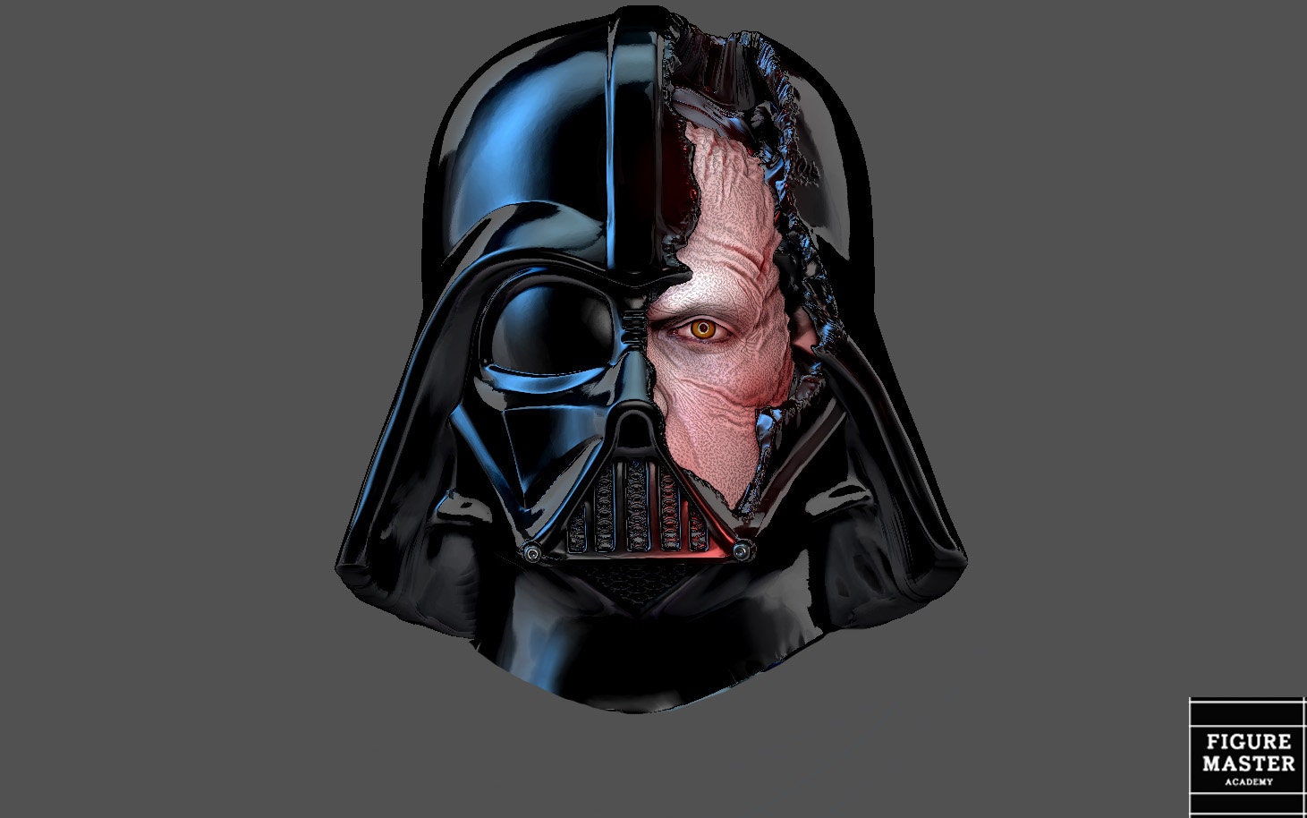 DARTH VADER Anakin Damaged Helmet Custom Head for Figure 3d Print Stl ...