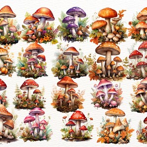 Fall Mushroom Watercolor Clipart Bundle, Set of 25, Fantasy Fall Forest ...