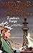 Zandru's Forge (Darkover, #4; Clingfire, #2)