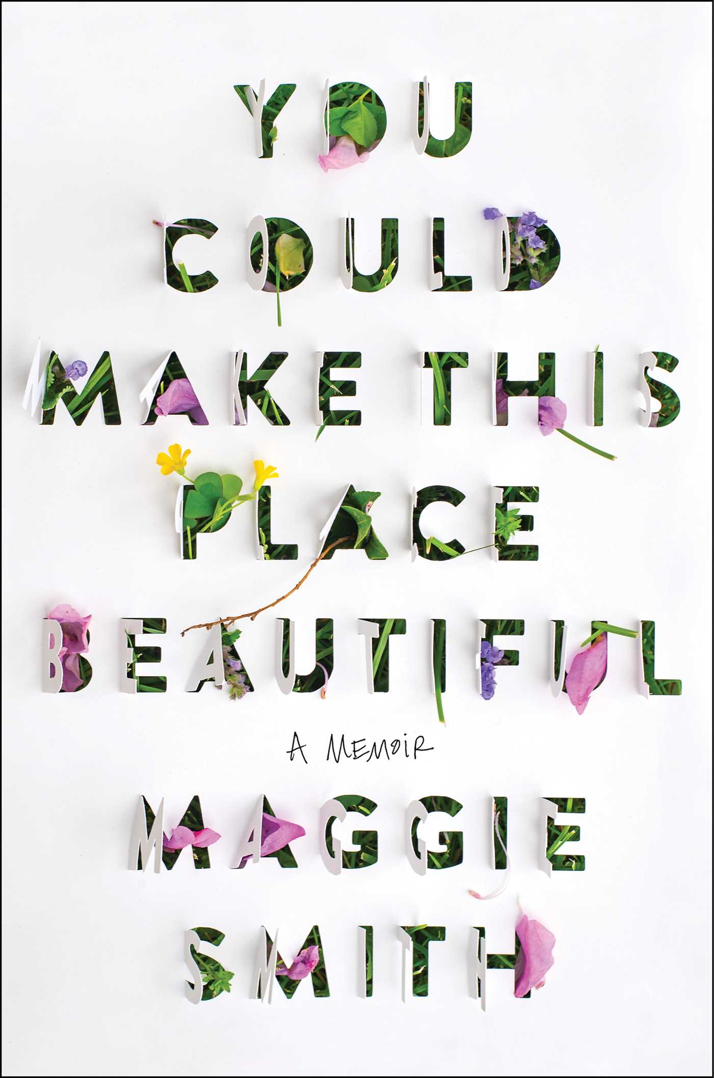 You Could Make This Place Beautiful by Maggie  Smith