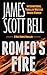 Romeo's Fire (Mike Romeo Thrillers Book 9)