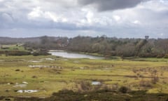 Heathland at RAF Greenham Common in Berkshire