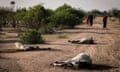 Dead cows in various states of decomposition in Eyrib, Wajir county, Kenya.