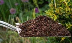 well rotted garden compost on shovel