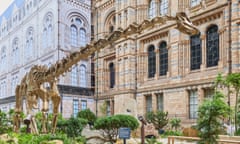 Skeleton staff … Fern, the new bronze replica of Dippy, oversees the garden.