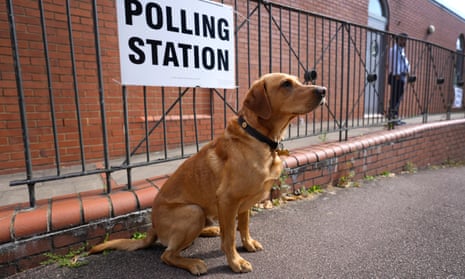 A golden retriever-type dog sits obediently outside a polling station in Southfields in London; it is squatting haunches-down on asphalt in front of black iron railings, a walkway and a red-brick wall, with its head held high.