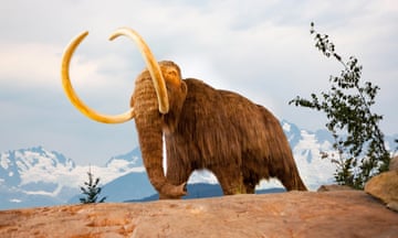 A portrait of a wooly mammoth