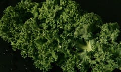 Curly kale