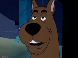 Sarcastic Scooby Doo Meme Template