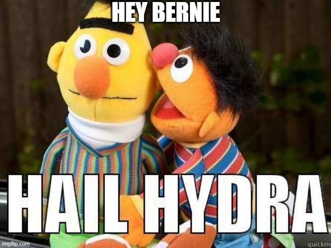 HEY BERNIE | image tagged in hail hydra | made w/ Imgflip meme maker