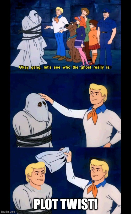 PLOT TWIST! | image tagged in scooby doo mask reveal,plot twist,mirror mirror | made w/ Imgflip meme maker