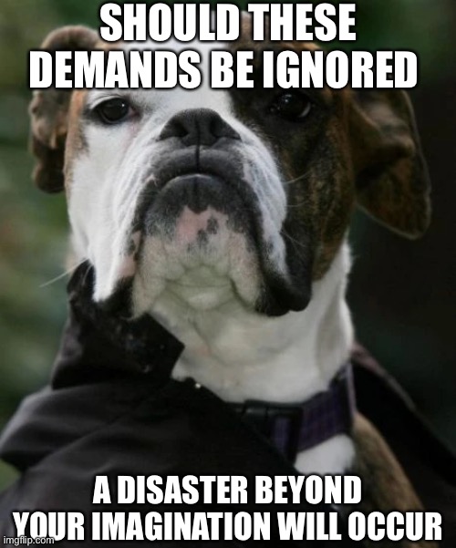 The Phantom of the Puppera | SHOULD THESE DEMANDS BE IGNORED; A DISASTER BEYOND YOUR IMAGINATION WILL OCCUR | image tagged in boxer,phantom of the opera,pupper,musical,broadway,doggo | made w/ Imgflip meme maker