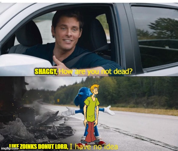 Shaggy in The Sonic Movie | SHAGGY, LIKE ZOINKS DONUT LORD, | image tagged in sonic how are you not dead,scooby doo,shaggy,memes | made w/ Imgflip meme maker